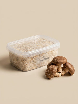 Bloque de cultivo de Shiitake